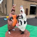 Cow and Bull Sumo