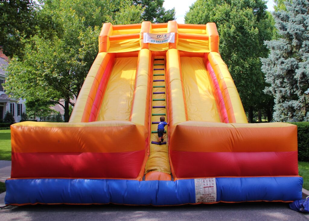 Giant Double Slide - Creative Carnivals & Events, LLC