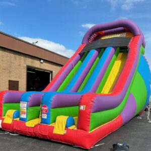 Wacky Giant Slide side
