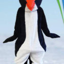 Chilly the Penguin