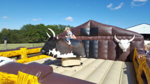 Deluxe bull at event