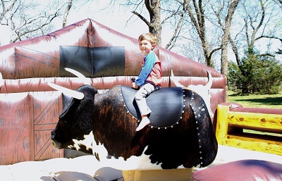 delux bull