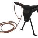 Steer Roping