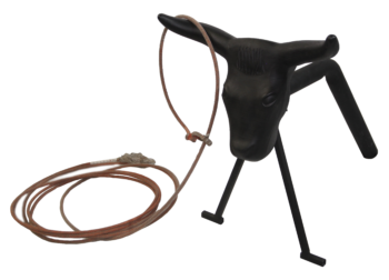 Steer Roping