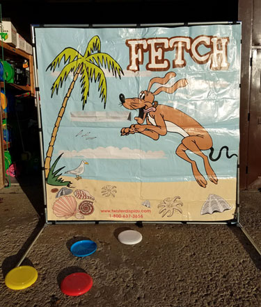 Disc Toss Fetch