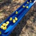 Deluxe Duck Pond