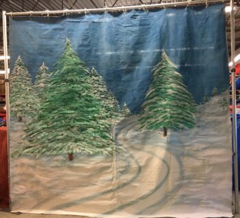 Winter Scene Backdrop