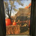 Fall Photo OP indoor
