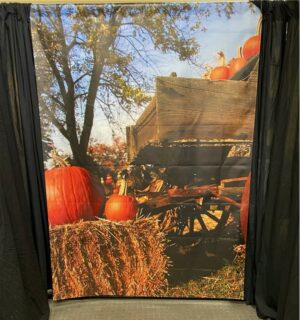 Fall Photo OP indoor