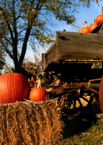 Fall photo op